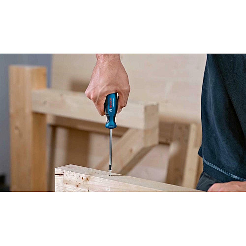 Викрутка Bosch, Torx T10x75мм