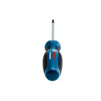 Викрутка TX 20 x 100 (1600A01V0C) Bosch