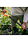 Вила для компосту Fiskars Solid