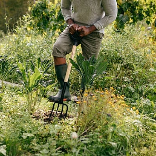 Вила садові з дерев'яною ручкою Fiskars Solid