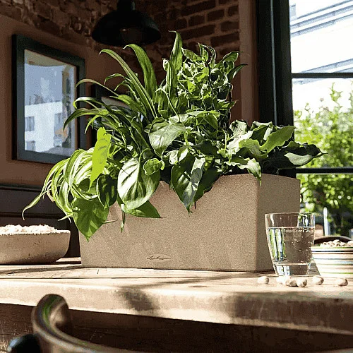 Вазон Lechuza Balconera Stone 50 Бежевий